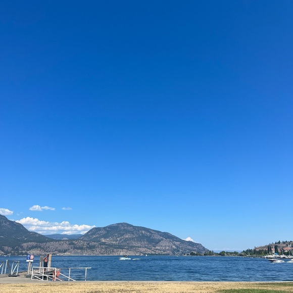 Meet your Posher, Tayte - Picture 1 of 1